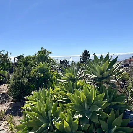 Rural El Estanco Viejo Casa Pino * Costa Adeje (Tenerife)