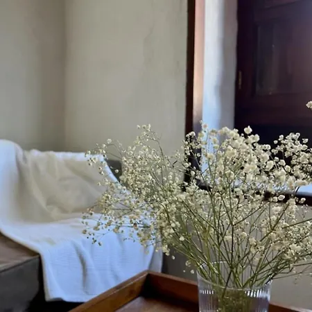 Casa de Férias Rural El Estanco Viejo Casa Pino La Concepcion