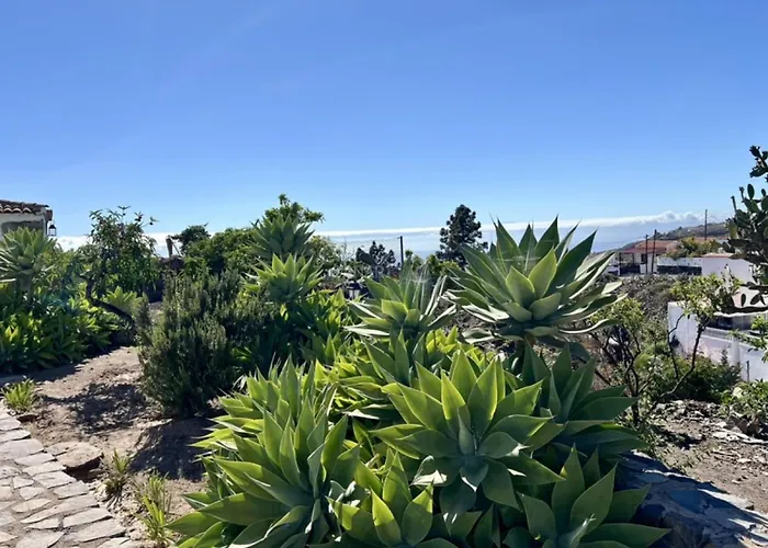 Rural El Estanco Viejo Casa Pino * Costa Adeje (Tenerife)